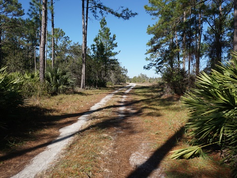 Seminole State Forest, eco-biking