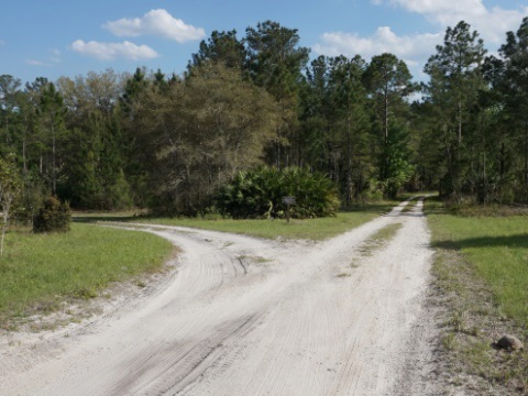 Seminole State Forest, eco-biking