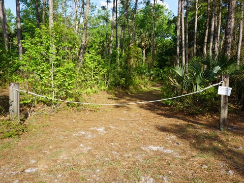 Seminole State Forest, eco-biking