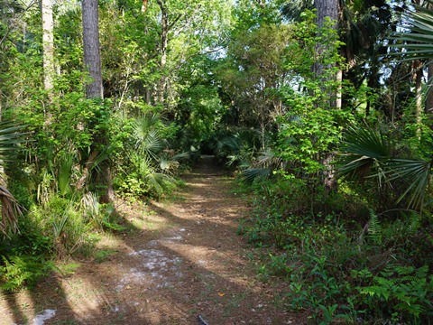 Seminole State Forest, eco-biking