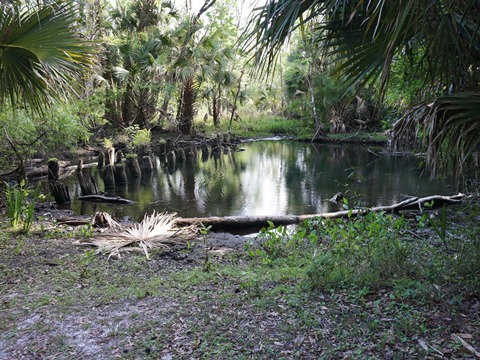 Seminole State Forest, eco-biking