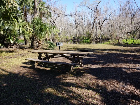 Seminole State Forest, eco-biking