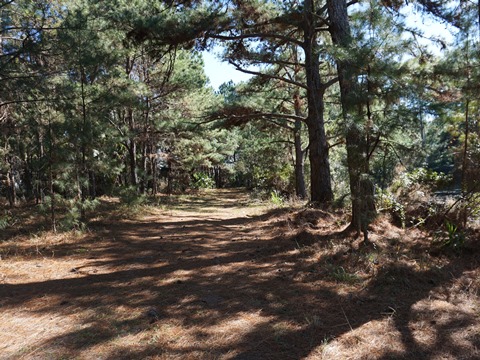 Seminole State Forest, eco-biking