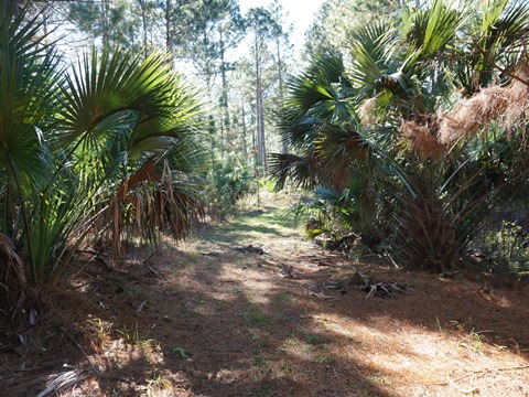 Seminole State Forest, eco-biking