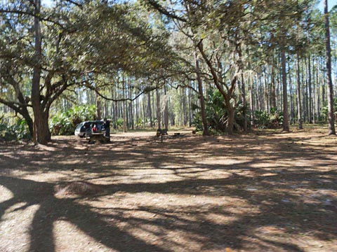 Seminole State Forest, eco-biking