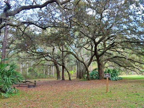 Seminole State Forest, eco-biking