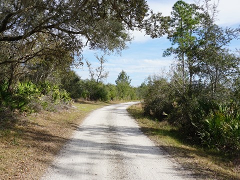 Seminole State Forest, eco-biking