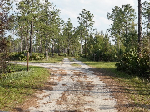 Seminole State Forest, eco-biking