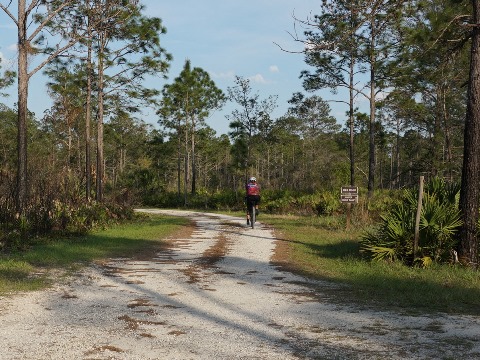 Seminole State Forest, eco-biking