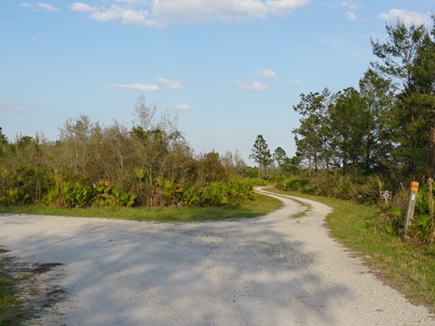 Seminole State Forest, eco-biking