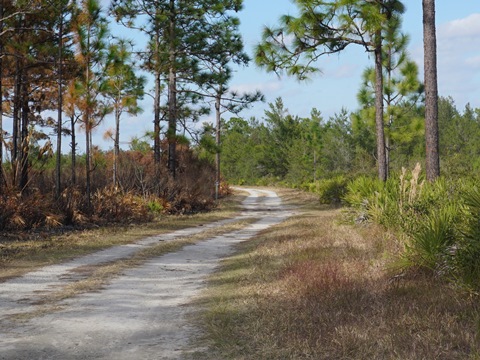 Seminole State Forest, eco-biking