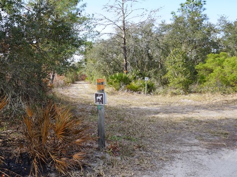 Seminole State Forest, eco-biking