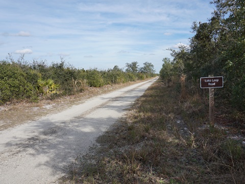 Seminole State Forest, eco-biking