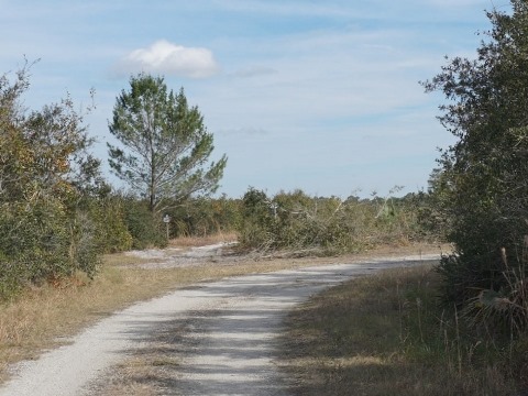 Seminole State Forest, eco-biking