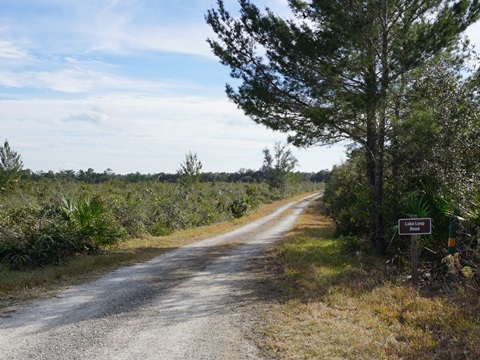 Seminole State Forest, eco-biking