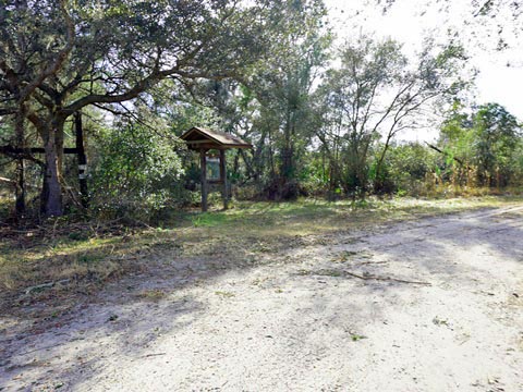 Seminole State Forest, eco-biking