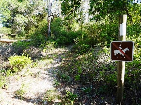 Seminole State Forest, eco-biking