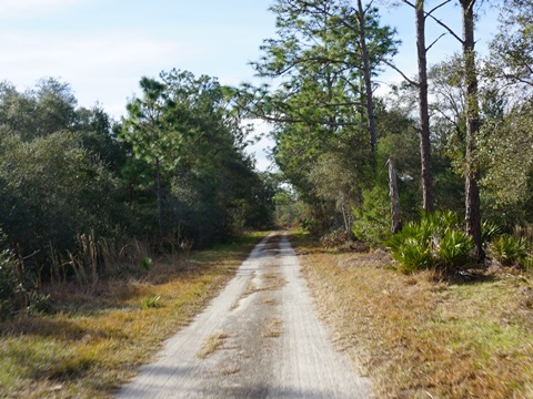 Seminole State Forest, eco-biking