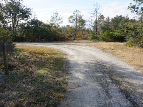 Seminole State Forest, eco-biking