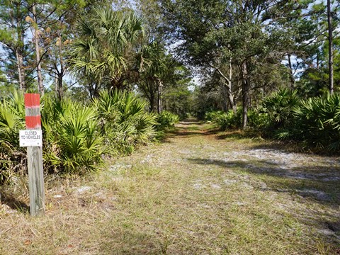 Seminole State Forest, eco-biking