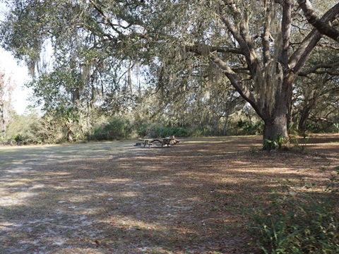 Seminole State Forest, eco-biking