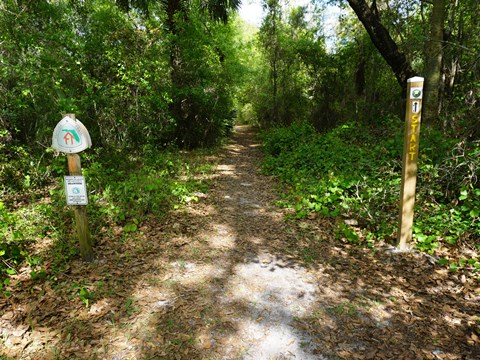 Seminole State Forest, eco-biking