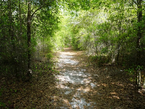 Seminole State Forest, eco-biking