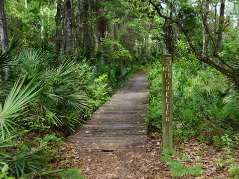 Seminole State Forest, eco-biking