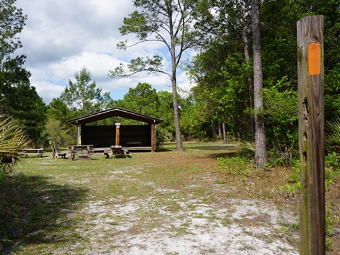 Seminole State Forest, eco-biking