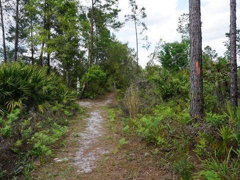 Seminole State Forest, eco-biking