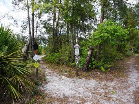 Seminole State Forest, eco-biking