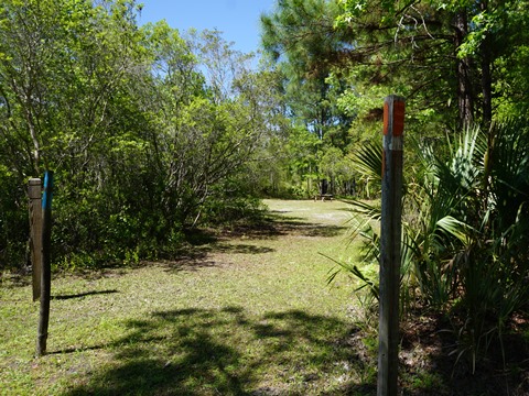 Seminole State Forest, eco-biking