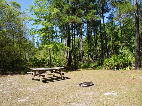 Seminole State Forest, eco-biking