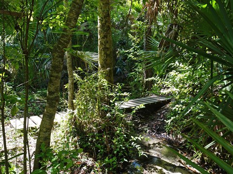 Seminole State Forest, eco-biking