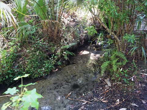 Seminole State Forest, eco-biking