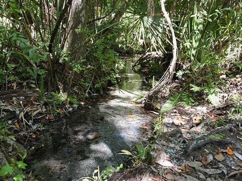 Seminole State Forest, eco-biking