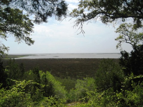 Florida Eco-biking/hiking, Shell Mound