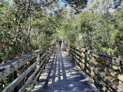 Shingle Creek Management Area