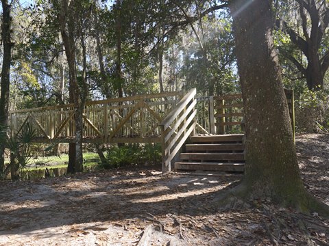 Shingle Creek Management Area