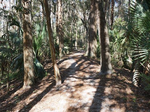 Shingle Creek Management Area