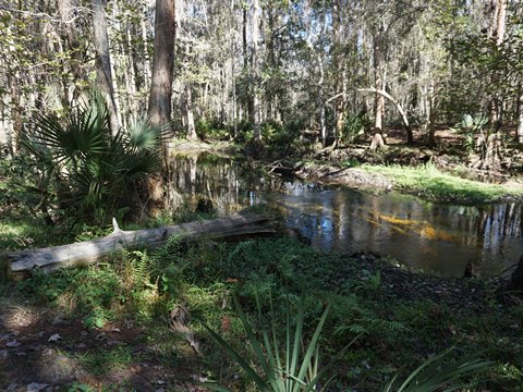 Shingle Creek Management Area