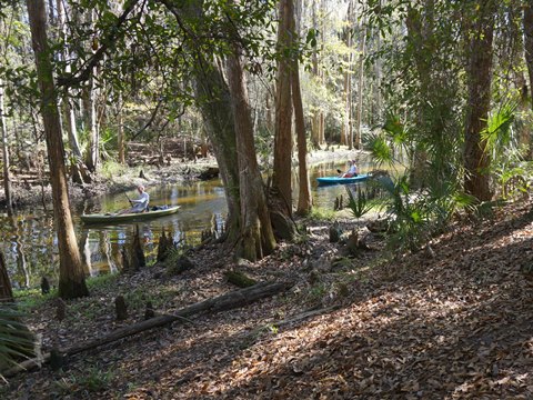 Shingle Creek Management Area