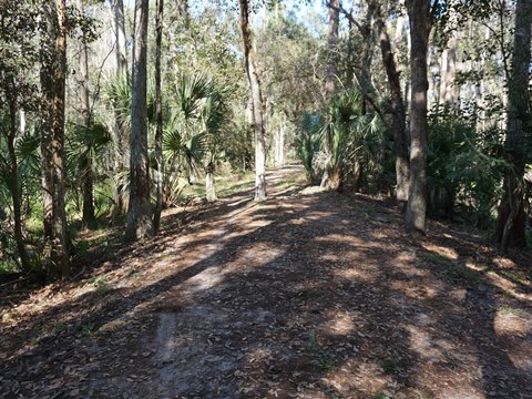 Shingle Creek Management Area