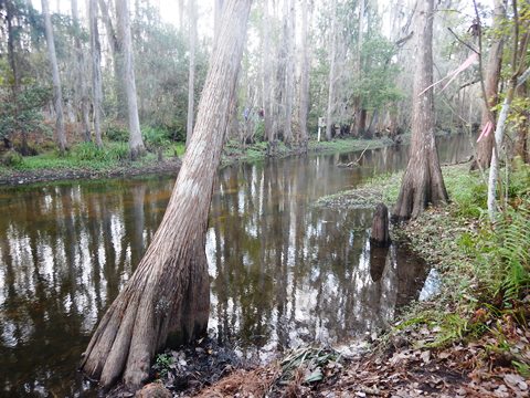 Shingle Creek Management Area