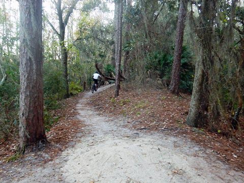 Shingle Creek Management Area