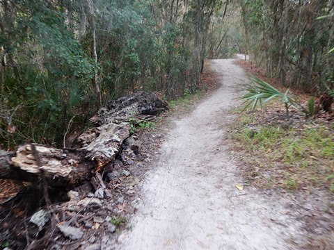 Shingle Creek Management Area