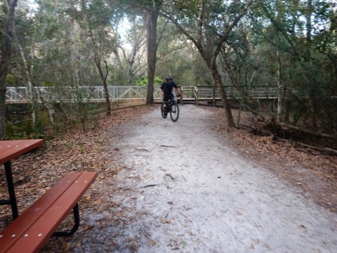 Shingle Creek Management Area