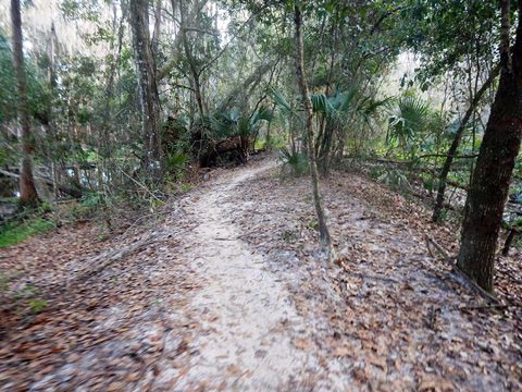 Shingle Creek Management Area