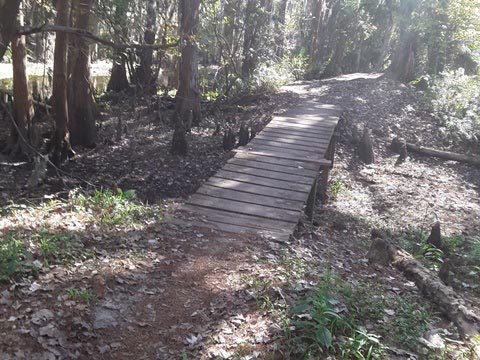 Shingle Creek Management Area