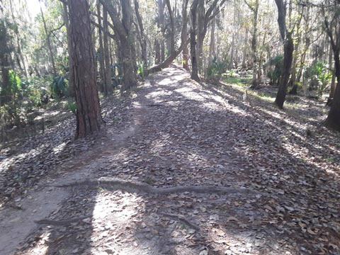 Shingle Creek Management Area